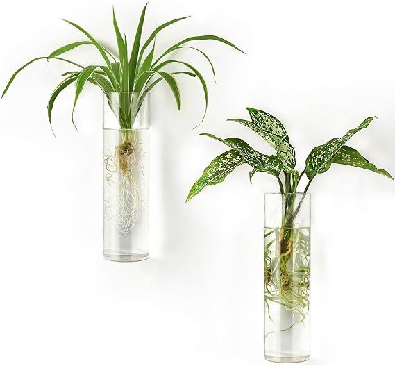 Mkono Wall Hanging Vases, 2 Pack Glass Propagation Stations Flower Planter