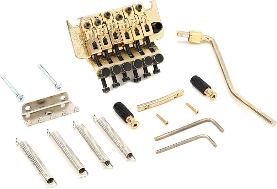 Floyd Rose FRTS2000R Special Relic Tremolo System - Black