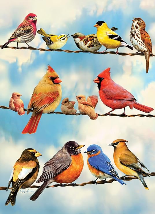 Cobble Hill 500 Piece Puzzle - Birds on a Wire - Sample Poster Included