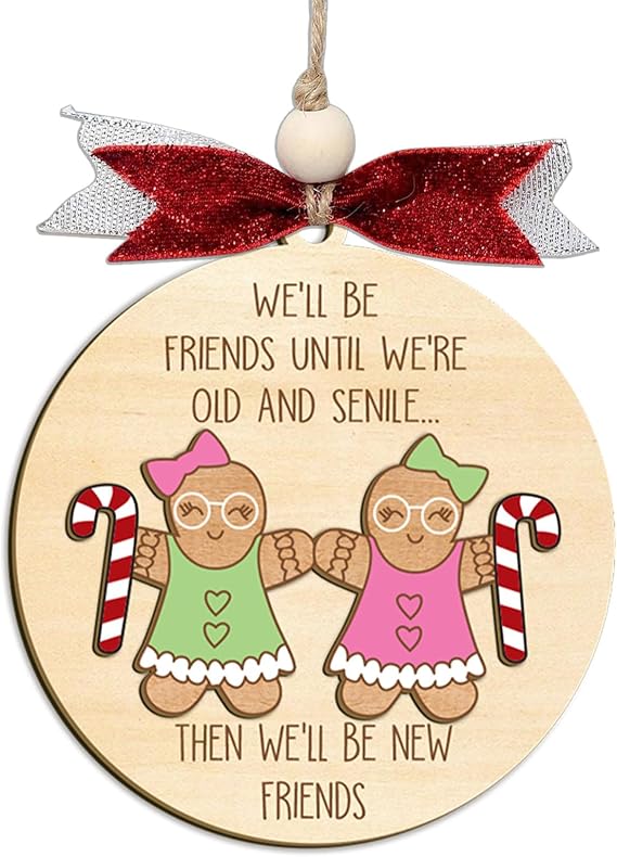 Funny Best Friends Ornaments, Coworker Funny Ornament, Best Friends, Friendship Gifts for Women, Hilarious Besties Christmas Ornaments (C7)