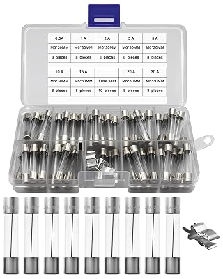 IZTOSS 72Pcs Fast Blow Glass Fuse Assortment Kit 6x30mm Automotive Fuses 250V 0.5A 1A 2A 3A 5A 10A 15A 20A 30A Glass Fuses and 10Pcs Fuse Seat, Sort and Package in Transparent Plastic Boxes