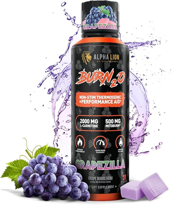ALPHA LION Burn2O L-Carnitine Liquid 2000mg, Premium Liquid Fat Burner & Pre-Workout Supplement for Men & Women - Natural Energy &