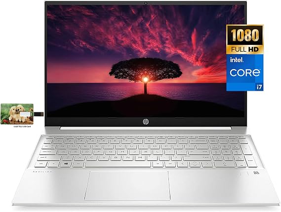 HP Pavilion 15.6'' FHD Business Laptop, 11th Gen Intel Core i7-1165G7 Processor, Windows 10 Pro, 32GB RAM, 512GB SSD, Fast Charge, SD Reader, HDMI, Wi-Fi, Bluetooth, Webcam, 32GB Tela USB Card
