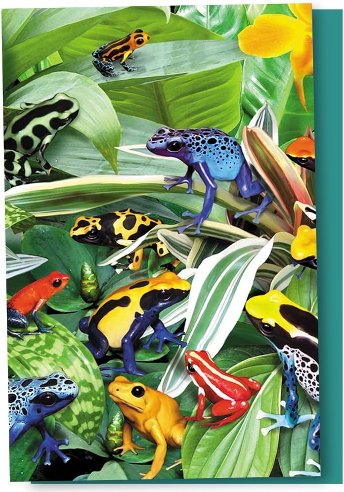 Tree-Free Greetings EcoNotes 12 Count Dart Army Frog All Occasion Notecard Set with Envelopes, 4 x 6 Inches FS66806