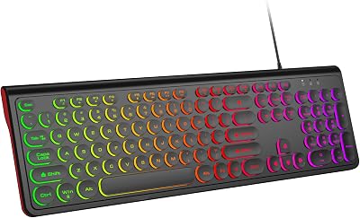 USB Wired Computer Keyboard with Backlit - Full Size Office Keyboard with Number Pad, Caps Indicators, Foldable Stands, for PC Laptop Desktop Windows 7 8 10 11 Black
