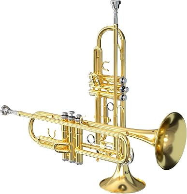 LAGRIMA Gold Trumpet Brass Standard Bb Trumpet Set for Student Beginner with Trumpet, Mouth of Trumpet, Gloves, Trumpet Cleaning Kit, Hard Case