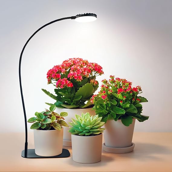 Desktop Plant Grow Light,12w Growing Lamps High Ppfd,Full Spectrum Desk Growth Light with Automatic Timer,4 Dimmable Levels(Black)