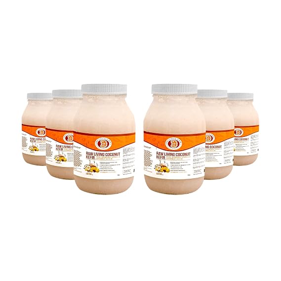 Local Thai Banana & Organic Vanilla Coconut Milk Kefir 5-Day Fermented, Vegan, Probiotic-Rich, Low Sugar, Gut & Digestive Support (Half Case) | by This Chick Is Raw