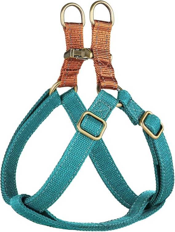 Didog Step in Dog Harnes for Small Dogs, Blue, S, Chest 14-22" | Freedom Nylon Dog Halter Vests with Metal Buckles, Easy On and Off, Adjustable Straps, Escape-Proof, Easy Walking Training