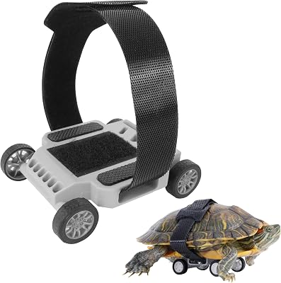 Skateboard for Turtle, Turtle Leash, Accelerate The Turtles Walking M