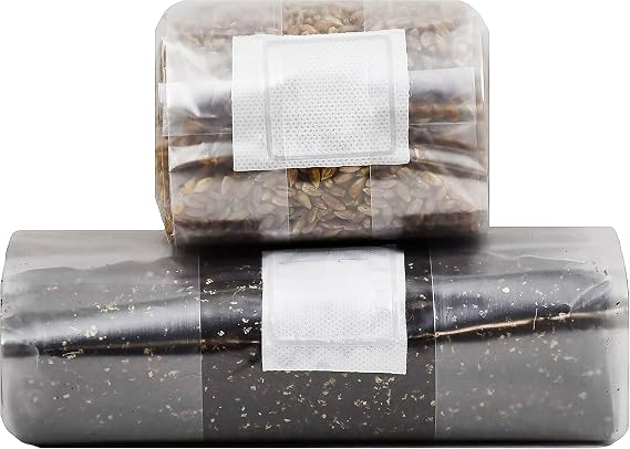 Mushroom Grow Kit (Quick Kit)