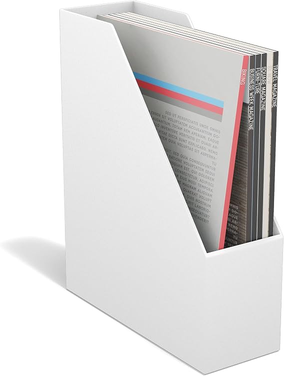 TRU RED Plastic Magazine File, White Vertical Desktop Organizer for Magazines, Folders & Office Documents