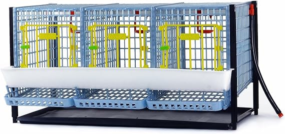 Hatching Time Traditional Chicken Breeding Cage, 3 Section 1 Layer Addition