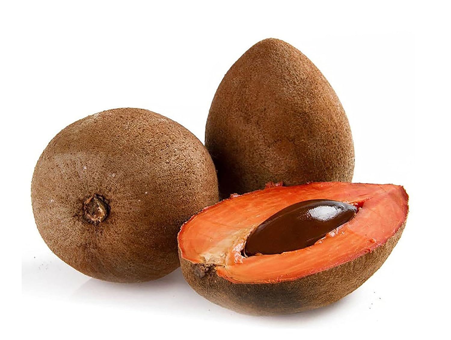 Tropical Importers Fresh Mamey Sapote Pouteria Sapota Set of 3