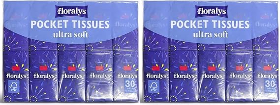 Floralys Ultra Soft Pocket Tissues – 30 Travel Packs (4-Ply) | Compact Resealable Facial Tissues for Handbag, Car & School Use (Pack of 2)