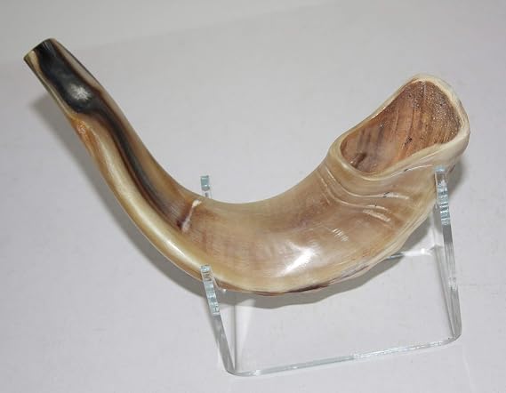 Small Israeli Shofar Rams Horn