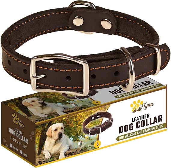 ADITYNA Heavy Duty Leather Dog Collar for Small Dogs, Adjustable 10-14"