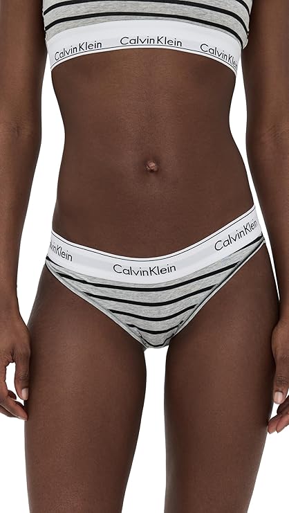 Calvin Klein Women's Modern Cotton Stretch Bikini Panty