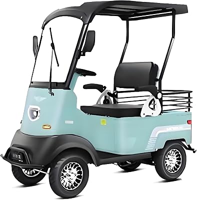 4 Wheel Seniors Adult Travel Mobility Scooter,2 Seater Electric Golf Cart, 800W All Terrain Leisure Electric Scooter Foldable Compact Cruiser Extra Large Portable Capacity Storage TrunkBlue,800W lith