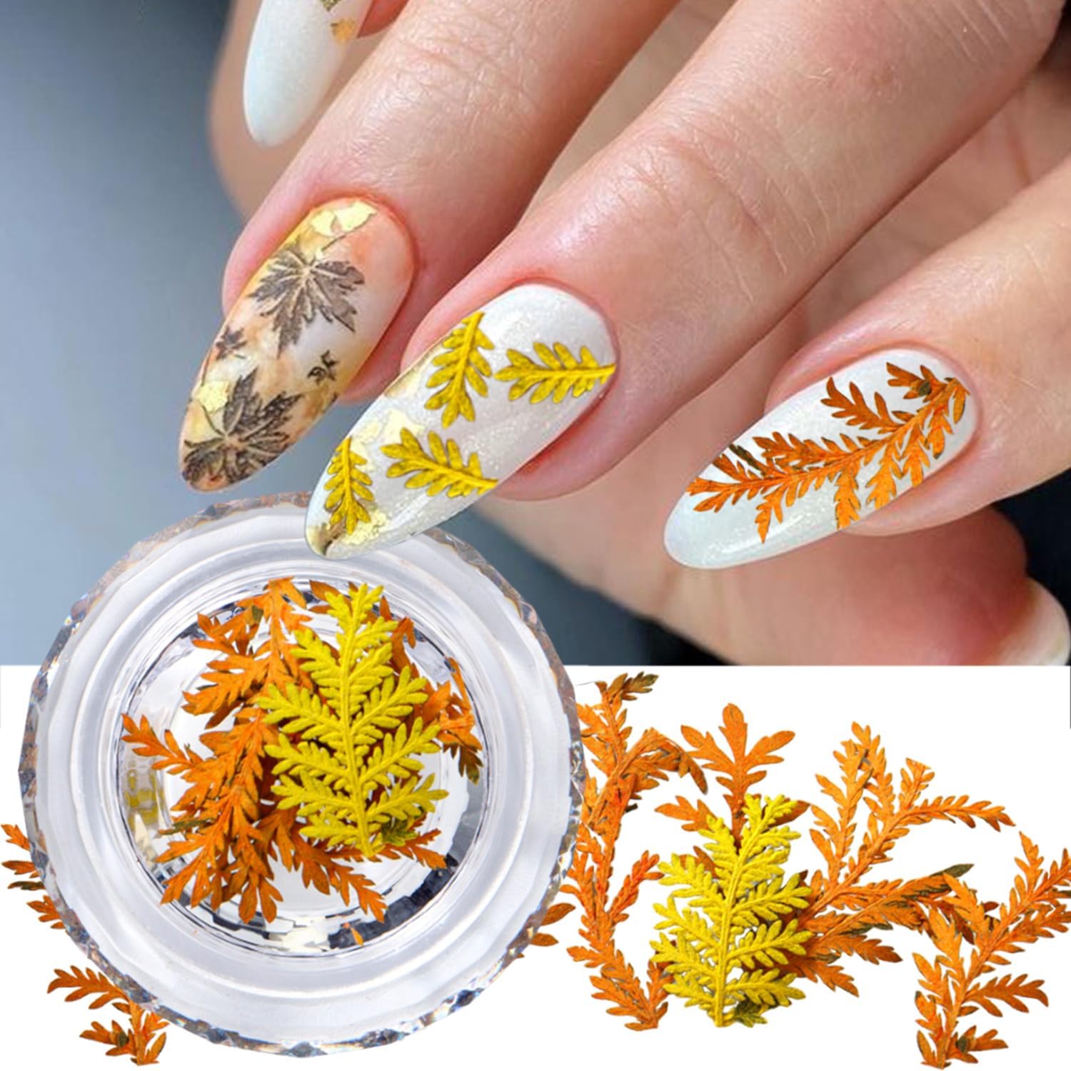Real Dried Flowers Nail Decals Mini Fall Leaf Dry Flowers Nail Art Stickers Natural Autumn Leaves Dried Flower Nail Stickers Dry Floral Nail Decoration for Women Girls 1 Box Yellow Dry Flower Leaf