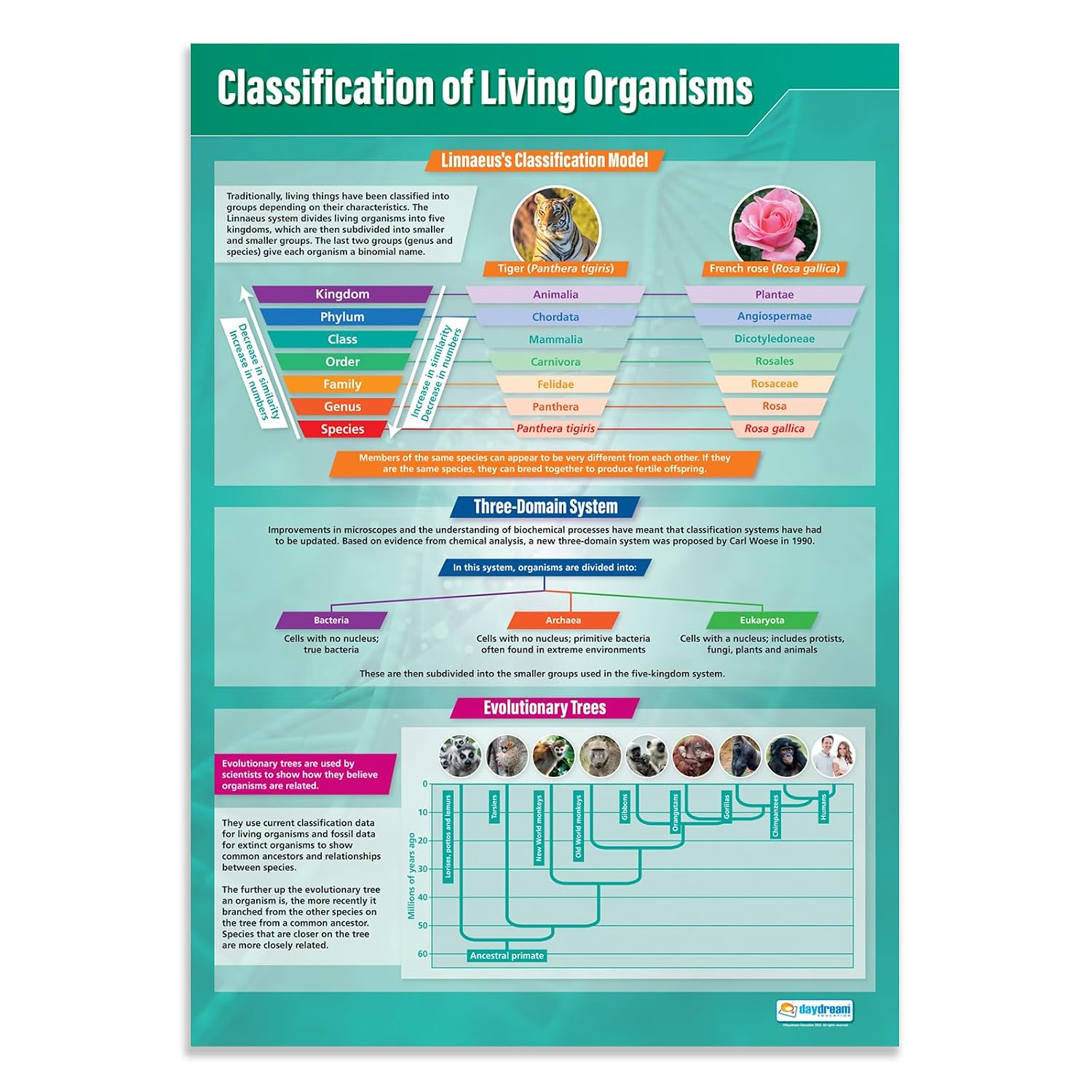 Large Format Classification of Living Organisms Philippines | Ubuy