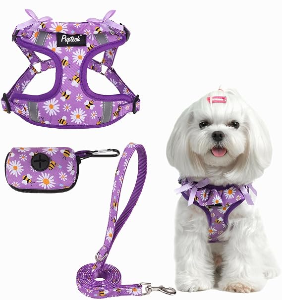 PUPTECK Dog Harness and Leash Set Small Sized, Step in No Pull Adjustable Puppy Cat Harness Reflective Pet Vest