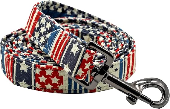 Elegant Little Tail American Flag Print Dog Leash, Soft Handle, X-Small, Multicolor