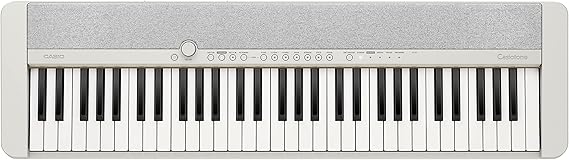 Casio CT-S1WE 61 Tuşlu Org (Beyaz)