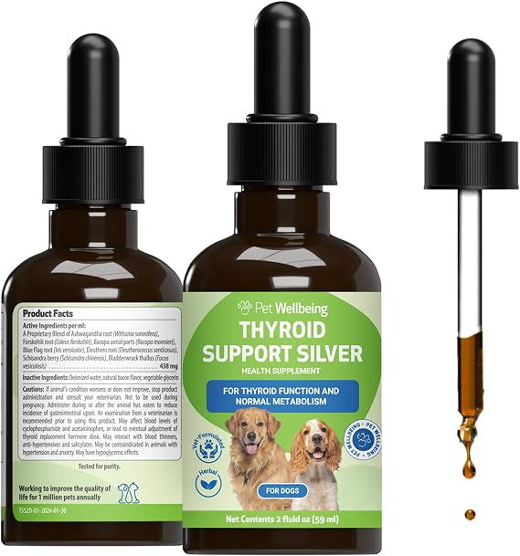 Pet Wellbeing Thyroid Support Silver for Dogs - Holistic Energy & Metabolism Support with Ashwagandha & Forskohlii, Canine Thyroid Supplement - NASC Certified & Vet-Formulated - 2 oz Liquid Formula