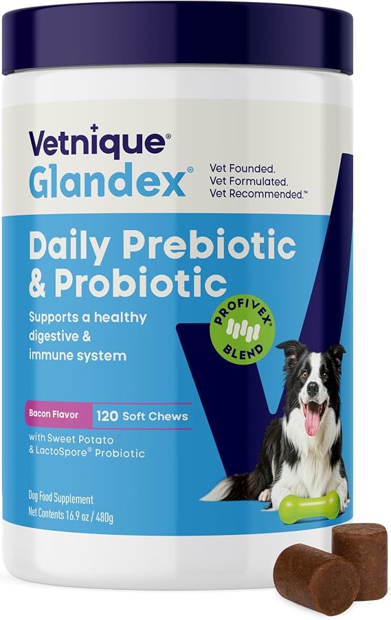 Vetnique Glandex Probiotics for Dogs Chews 120ct, Prebiotics & Enzymes