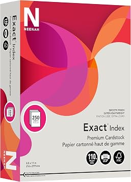 Wausau Exact Index Cardstock, 110 lb, 8.5 x 11 Inch, Pastel Gray, 250 Sheets (48598)