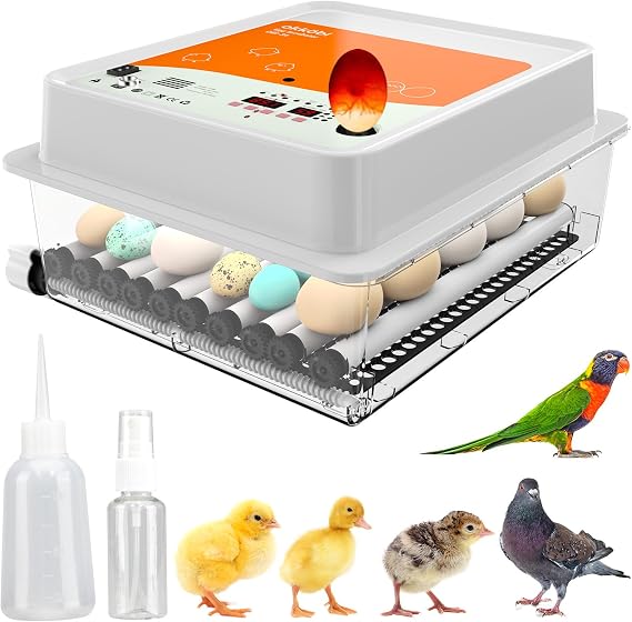 OBI-36 Incubator for Hatching Eggs 36 Eggs, Easy to Use, Stable Temperature & Humidity Control with Eggloo Insulation - Amber