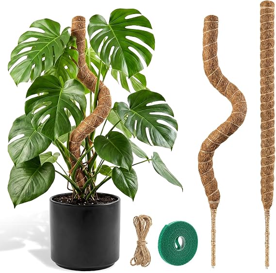 Bendable Moss Pole for Plants, Garden Sage 2 Pieces of 23.6 Inch/60 cm Monstera Cheese Plants Moss Pole kit, Handmade Stakes for Indoor and Climbing Plants