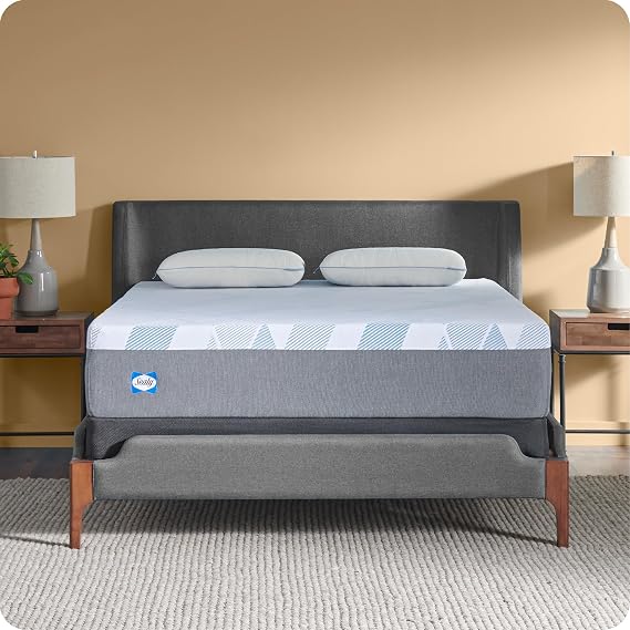 Sealy Dreamlife 12 Foam Mattress-in-a-Box, Queen, SealyComfort Gel Memory Foam, SealySupport Transition Foam, Surface-Guard Technology