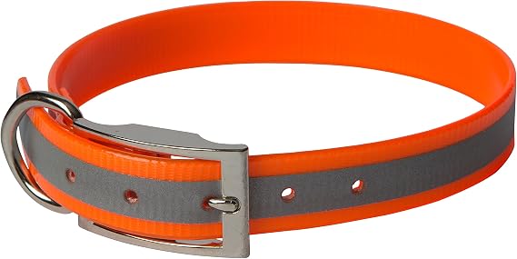 SunGlo Reflective Regular Dog Collar, 1" Wide, Orange, Fits 12"- 15.5" Neck Sizes, Highly Reflective & Tough Construction for Active Dogs