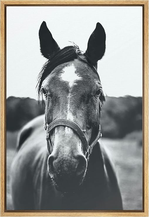 SIGNWIN Framed Canvas Wall Art High Contrast Horse Animals Black and White Duotone Expressive Grey Horse Living Room Photography Rustic - 16"x24" Natural