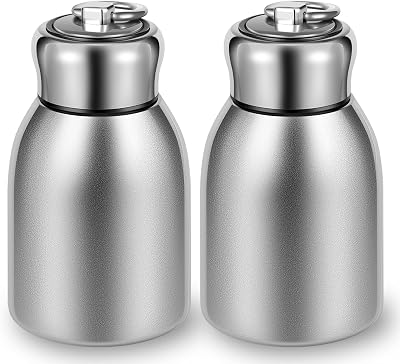 2 Pcs Mini Water Bottle, 10oz Insulated Water Bottle,Mini Insulated Stainless Steel Bottle,Reusable Leak Proof Stainless Steel Thermos, Leakproof Travel Mug Portable for Home School Office Camping