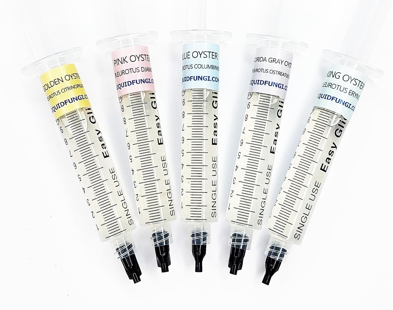 Oyster Mushroom Liquid Culture Syringe 5 Pack - Spore Free Live Mycelium