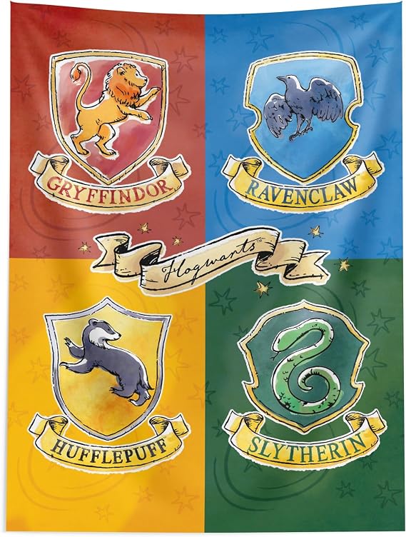 Northwest Harry Potter Tapestry, Hogwarts Wall Hanging Poster, Official Warner Bros Birthday Banner Backdrop, 40x57 Inch