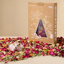 BUCATSTATE 5L Natural Flower & Hamster Bedding Soft Natural Bedding for Hamster Enrichment for Small Pets & Dwarf Syrian Hamsters, Gerbils, Mice