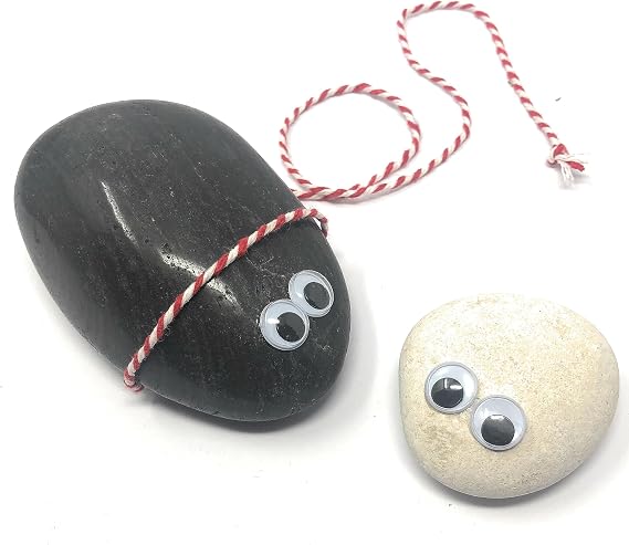 Rock Pet Googly Wiggle Eyes with Deluxe Adoption Kit and Dolly