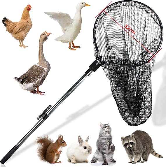 Catch Net Small Animal Control Net Poultry Catching Trap Tool for Cat, Chicken, Duck, Goose, Fish, Bird and Others (43~78" Telescoping Handle with 20.5" Net Opening)