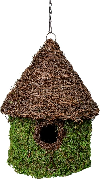 SuperMoss (56013) Bungalow Birdhouse with Chain, 11 by 15-Inch, Fresh Green