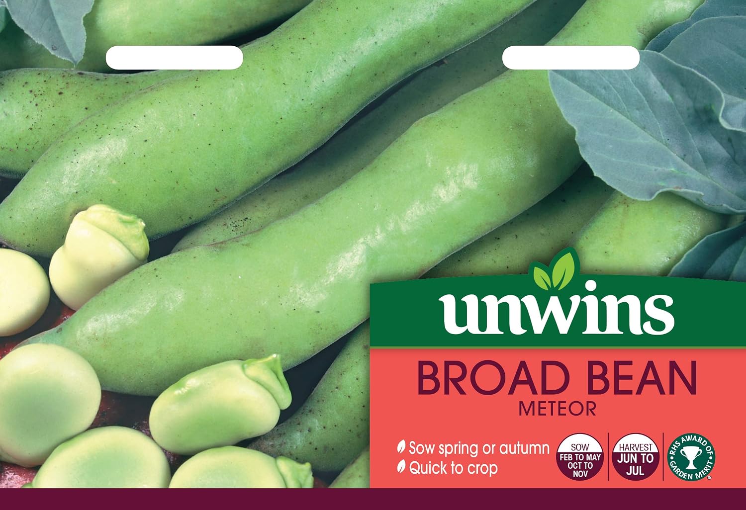 Unwins Broad Bean Masterpiece Green Longpod Seeds
