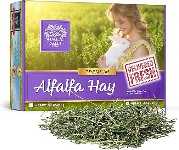 Small Pet Select Alfalfa Hay Pet Food for Young Rabbits, Guinea Pigs, Chinchillas, Tortoises and Other Small Animals, Easy to Store Box, 5lb (2.27kg)