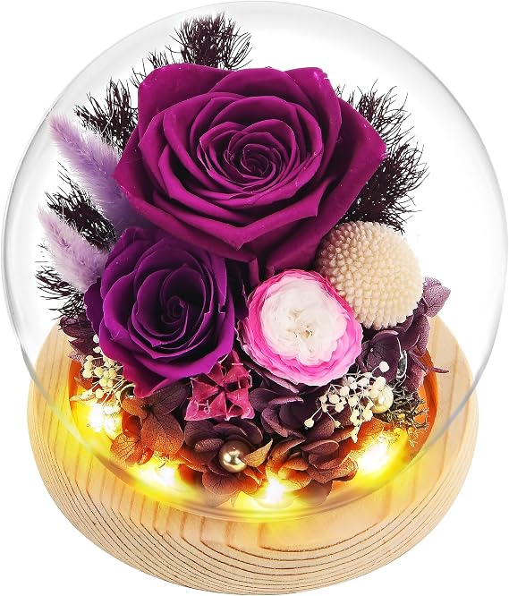 Gifts for Women, Flowers for Delivery Prime, Preserved Real Rose in Glass Dome with LED Light, Gifts Idea for Women Wife Mom Grandma on Anniversary Birthday Mothers Day