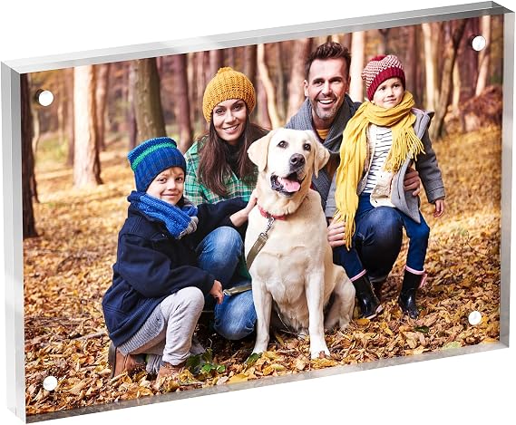 Neatsure 4x6 Acrylic Picture Frame 1 Pack, Clear Freestanding Double Sided Frameless Magnetic Photo Frames, Desktop Display Decor Gift