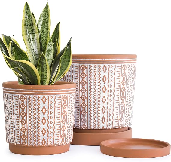 D'vine Dev Set of 2 Terracotta Pots, 6.5 Inch & 8.2 Inch, Planter Pots for Plants with Drainage Holes and Saucers, Terracotta/White, Medium, 34-958-A-1